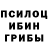 Псилоцибиновые грибы Magic Shrooms Fairy Goat