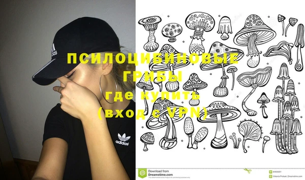 гашик Баксан