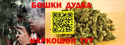 ГАЛЛЮЦИНОГЕННЫЕ ГРИБЫ Кингисепп