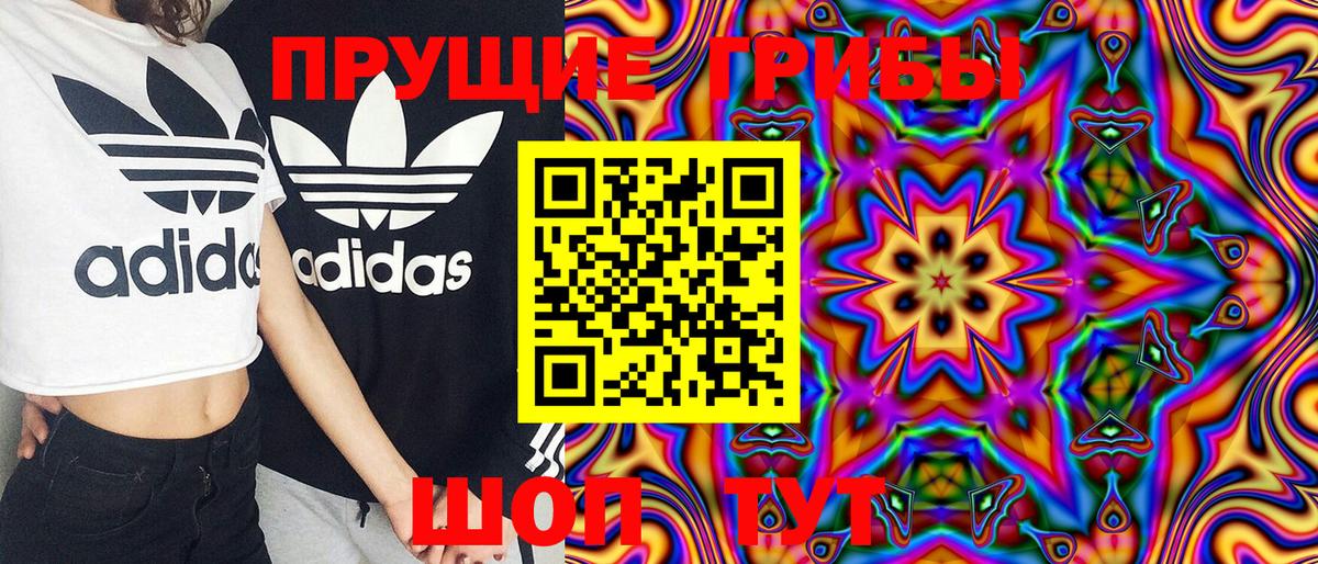 Галлюциногенные грибы Psilocybe  Вход с VPN  Кувандык  Псилоцибиновые грибы Cubensis 